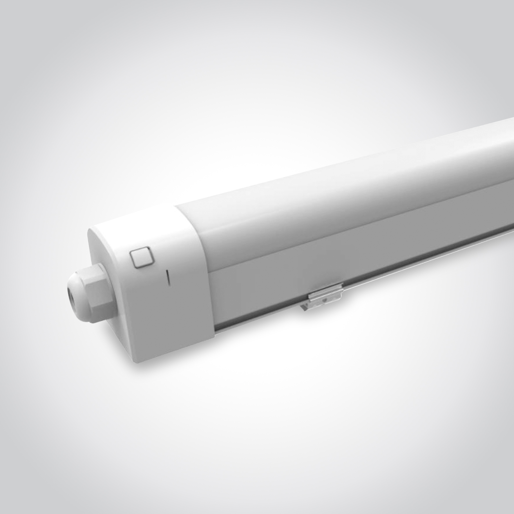 IP65 Batten 1003.1022 IP65 Batten 1003.1022